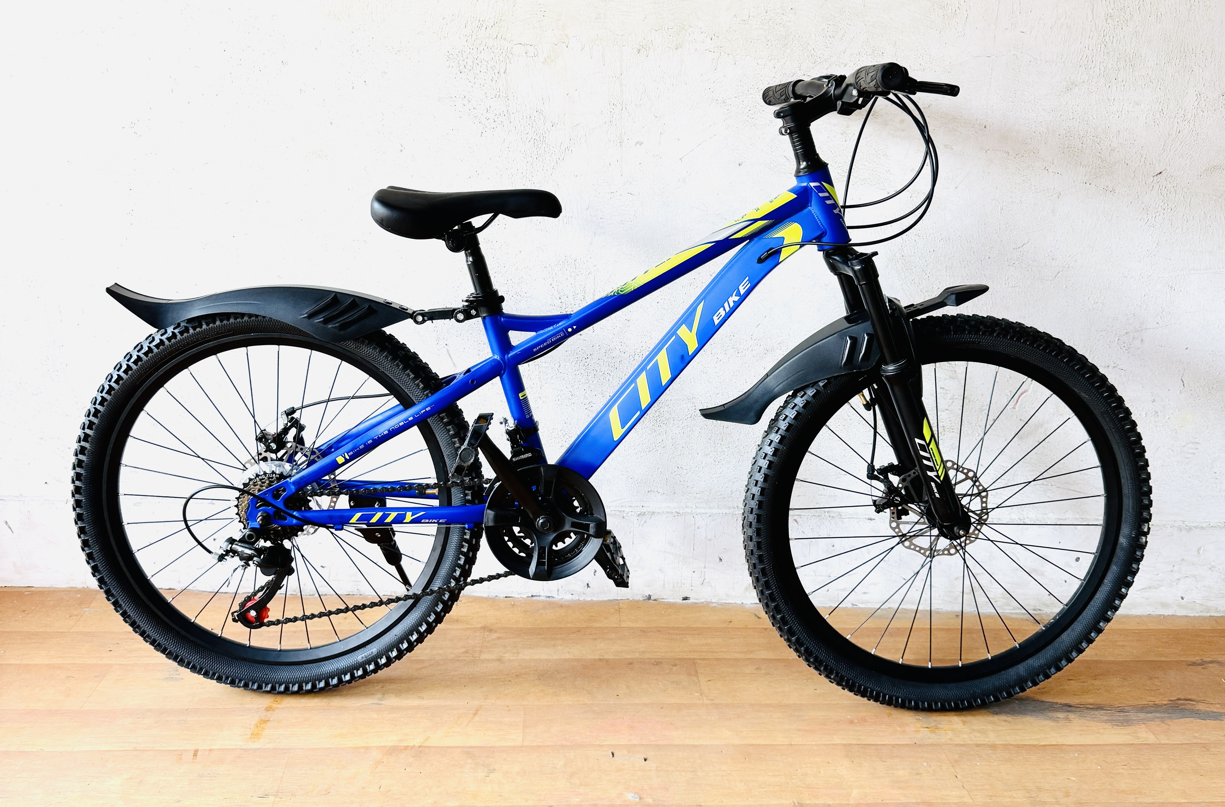Cycle 24" Gear City bike (12Yrs Above)